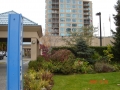 DSC01817